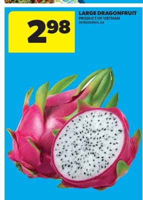 LARGE DRAGONFRUIT