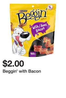 Beggin' with Bacon