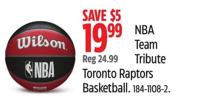 NBA Team Tribute Toronto Raptors Basketball.