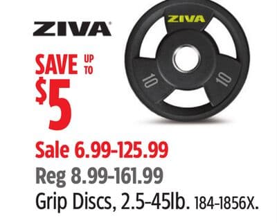 ZIVA Grip Discs