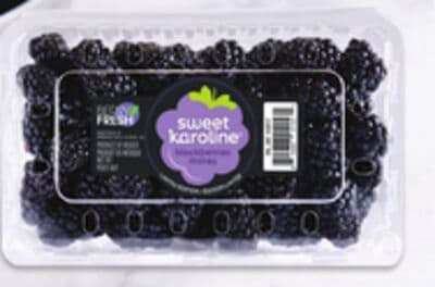 Sweet Karoline blackberries
