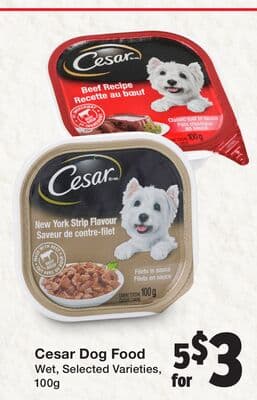 Cesar Dog Food
