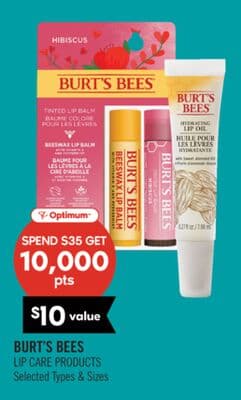 BURT'S BEES LIP CARE PRODUCTS