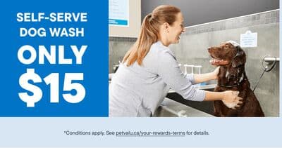 SELF-SERVE DOG WASH