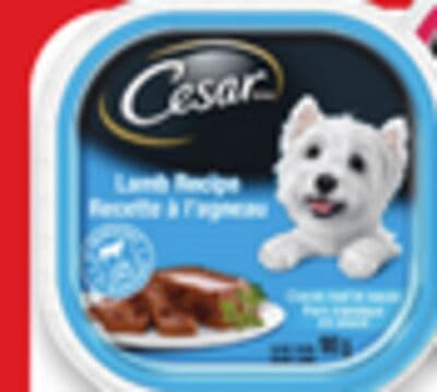 Cesar wet dog food