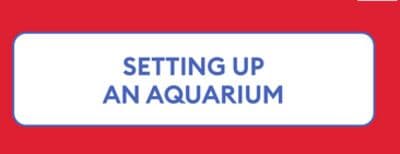 SETTING UP AN AQUARIUM