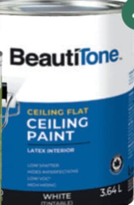 Latex Ceiling Paint