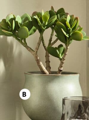 BJARNE Plant pot