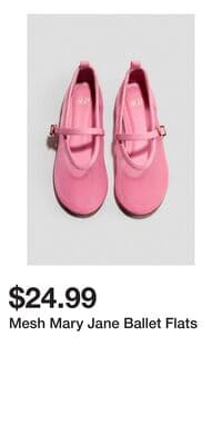 Mesh Mary Jane Ballet Flats