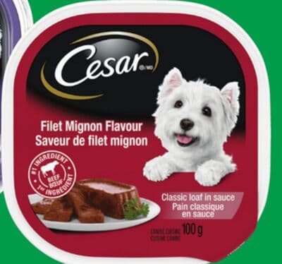 Cesar Wet Dog Food