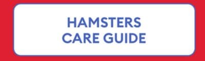 HAMSTERS CARE GUIDE