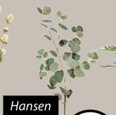 Hansen Artificial leaf