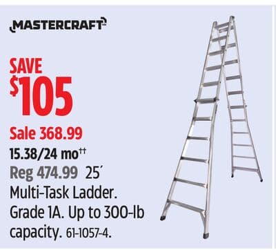 Mastercraft Multi-Task Ladder