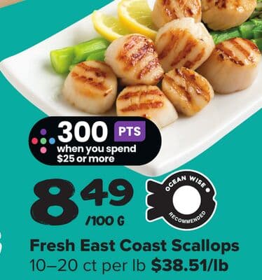 Fresh East Coast Scallops
