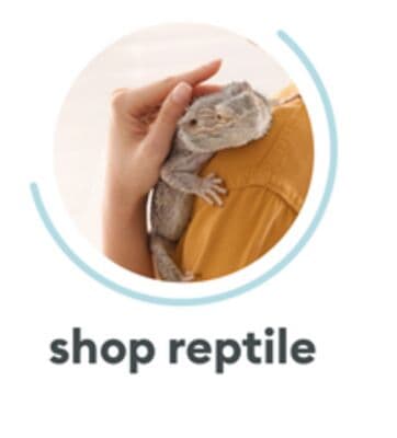 SHOP REPTILE