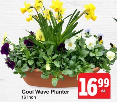 Cool Wave Planter