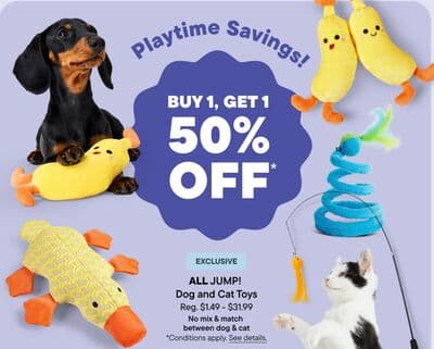 ALL JUMP! Dog and Cat Toys