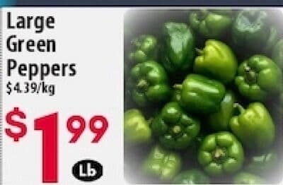 Large Green Peppers