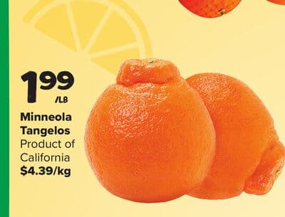 Minneola Tangelos
