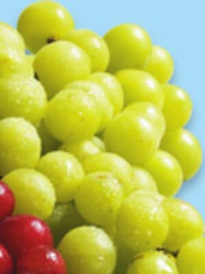 green seedless grapes