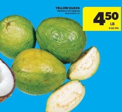 YELLOW GUAVA