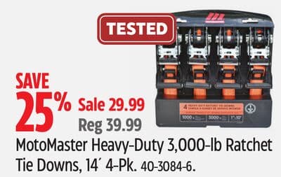 MotoMaster Heavy-Duty 3,000-lb Ratchet Tie Downs