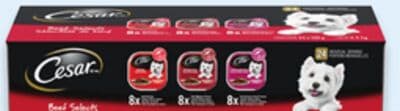 Cesar wet dog food