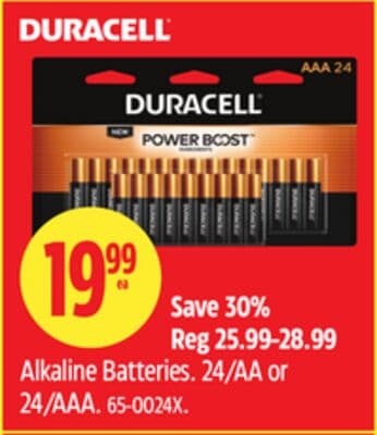 Duracell Alkaline Batteries