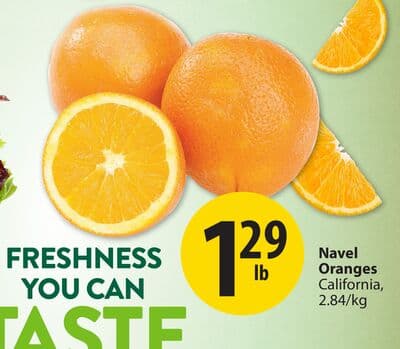 Navel Oranges