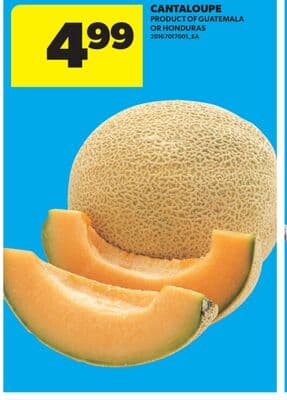 CANTALOUPE
