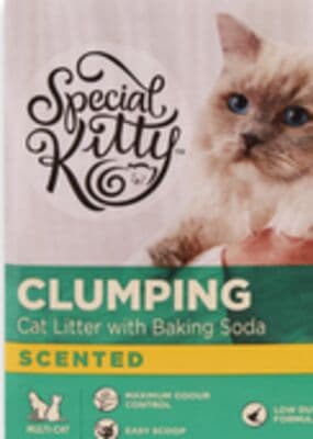 Special kitty clumping cat litter