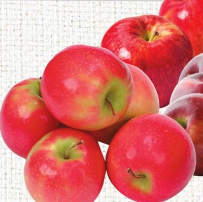 Red Prince, Pink Lady, Pazazz or Cosmic Crisp Apples