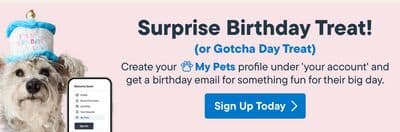 Surprise Birthday Treat! Sign Up Today