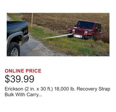 Erickson (2 in. x 30 ft.) 18,000 lb. Recovery Strap Bulk With Carry Bag