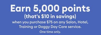 Salon, Hotel, Training or Doggy Day Care service