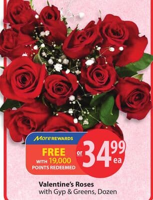 Valentine's Roses