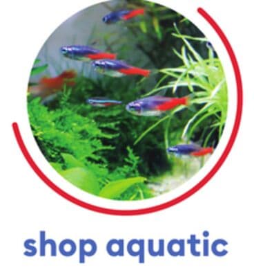 shop aquatic