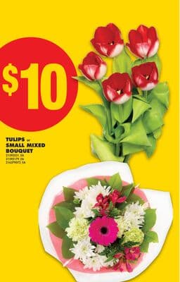 TULIPS or SMALL MIXED BOUQUET