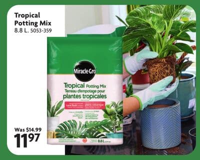 Tropical Potting Mix