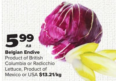 Belgian Endive