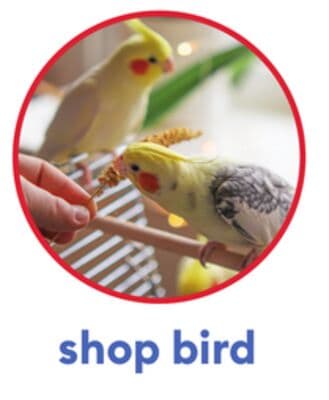 shop bird