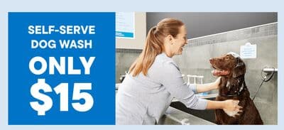 SELF-SERVE DOG WASH