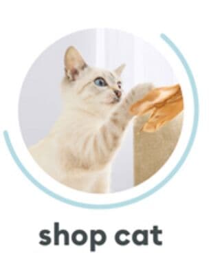 shop cat