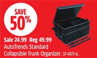 AutoTrends Standard Collapsible Trunk Organizer