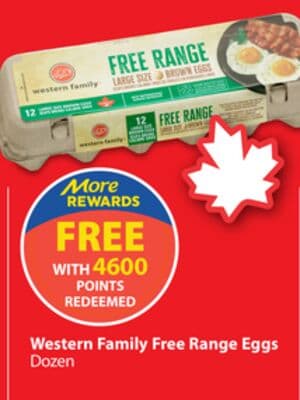 Western Family Free Range Eggs