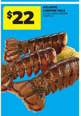 ATLANTIC LOBSTER TAILS, 2-3 OZ, 4 PACK