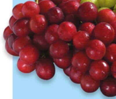 Red or green seedless grapes