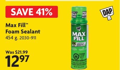 Max Fill™ Foam Sealant