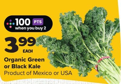 Organic Green or Black Kale