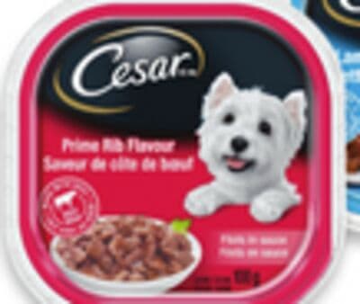 Cesar wet dog food